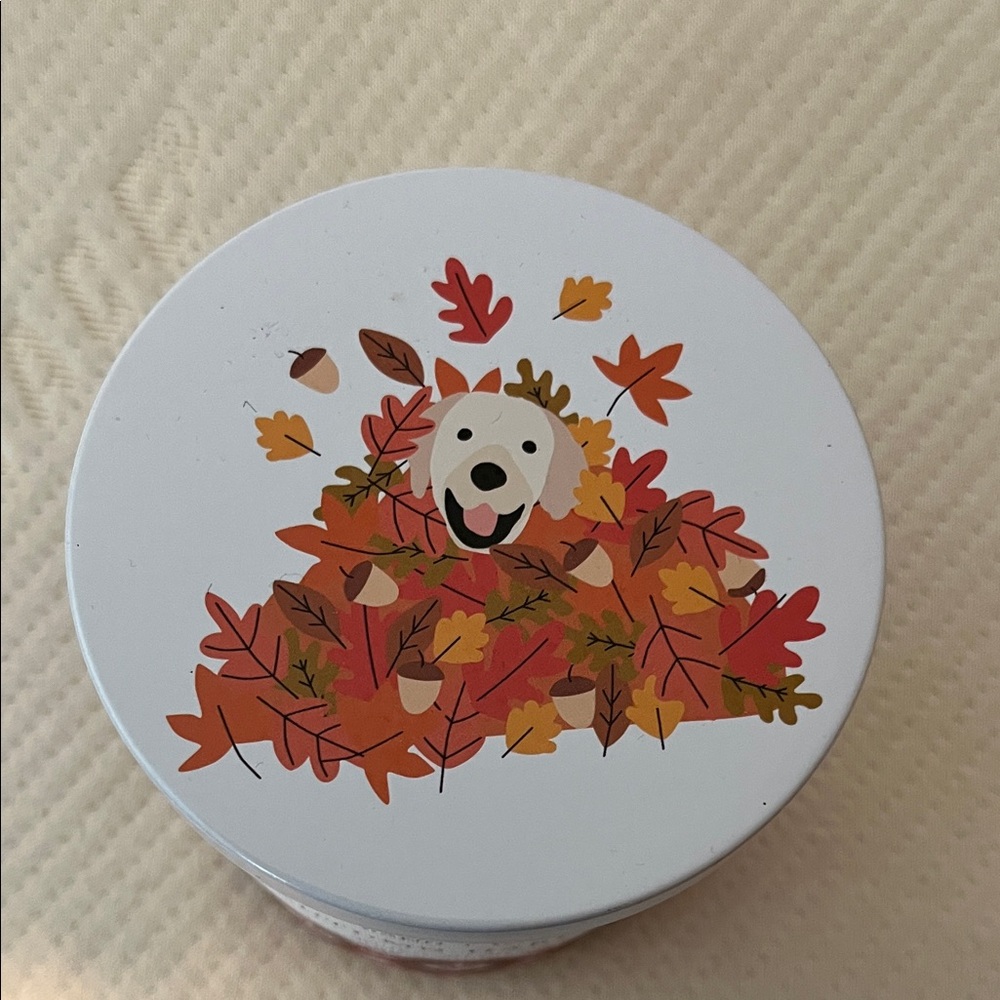 Sand + Paws Autumn Harvest Candle neutralizer for pet odor great for bathroom - Picture 2 of 6